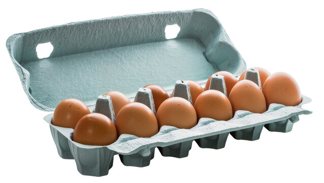 Cardboard egg carton with twelve brown eggs