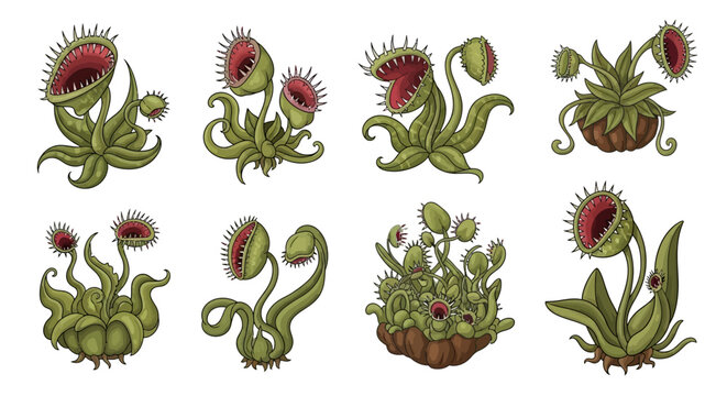 Venus flytrap plant illustrations in various poses.