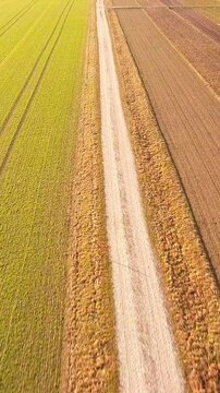 Flight over macadam road between agriculture fields on a sunny day