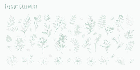 Obraz premium Collection of hand drawn green botanical stems and floral elements on white background