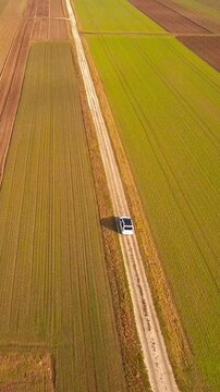 Aerial view white car drive between farm fields on macadam road