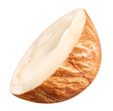 Single almond nut isolated white background