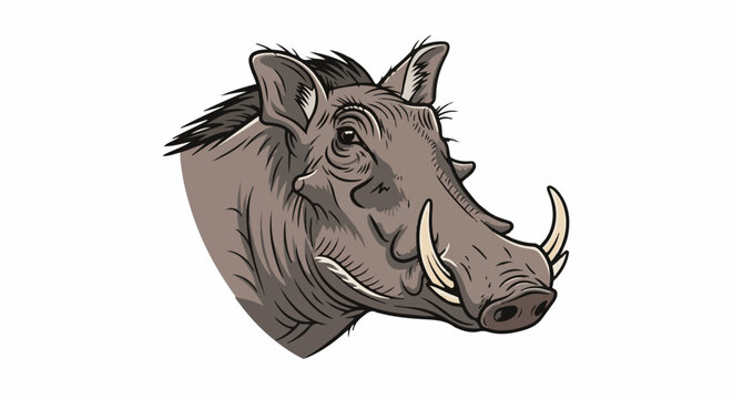 Close-up illustration of a warthog's head with tusks