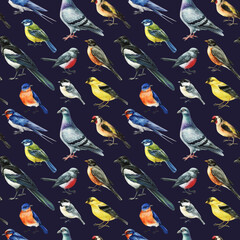 garden birds seamless pattern with robins titmice swallows magpies pigeons and colorful songbirds watercolor © Hanna