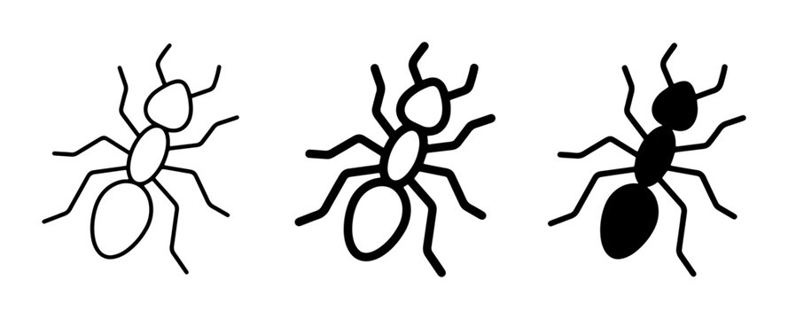Ant Icons, Insect Vector Graphics, Simple Line Art Animals, Black and White Critters