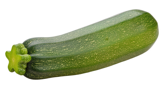 Green zucchini with star-shaped stem and textured skin