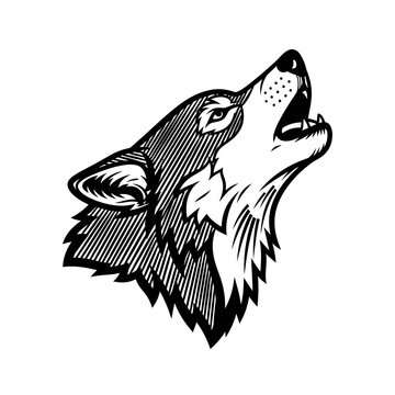 Wolf howling at the moon animal.