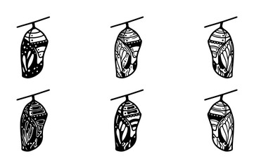 Monarch Butterfly Chrysalis Set, Insect Metamorphosis Stages, Nature Transformation Vector Icons © Nusrat