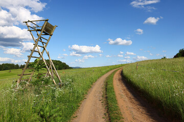 unpaved dirt road running between open meadows and livestock pastures with a wooden hunting tower positioned beside the track, showing rural terrain with grass growth, mixed vegetation and clear day © Gabriela