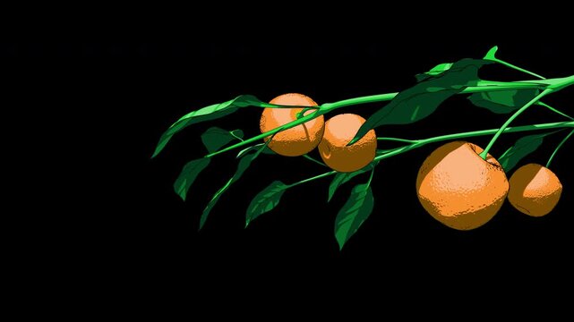 Orange tree branch with green leaves on transparent background