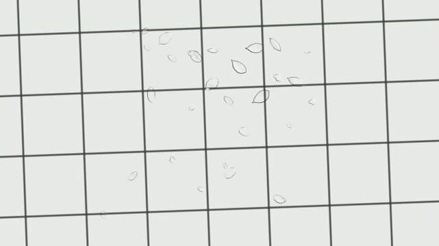Looping animation featuring delicate flower petals gently falling across a geometric grid background, creating a soft, elegant, and decorative spring-inspired visual effect.