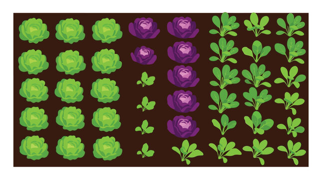 Cabbage lettuce and leafy green vegetable pattern on a dark background