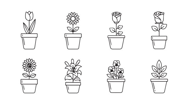 Potted flowers line art collection with tulip rose sunflower lily pansy for home decor and gardening concepts