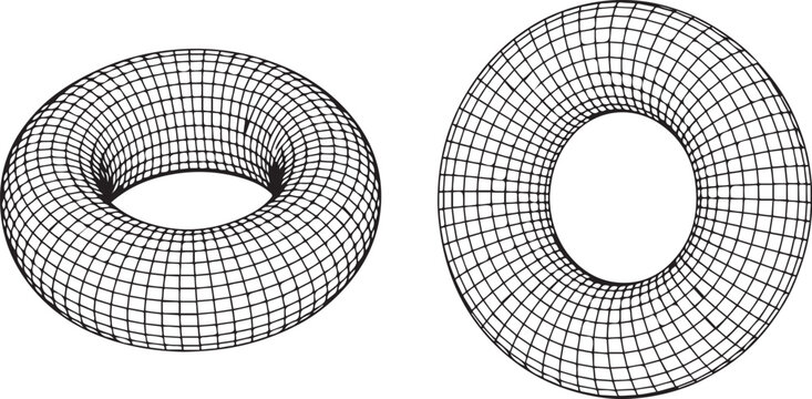 Wireframe torus shapes in 3D grid mesh two views of doughnut geometry