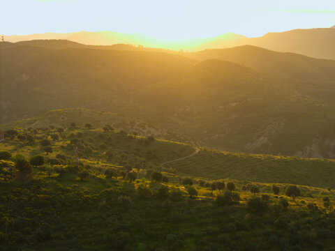 Aerial view of rolling green hills and olive groves bathed in golden sunset light near the historic town of Berat, Qarku i Beratit, Albania.
