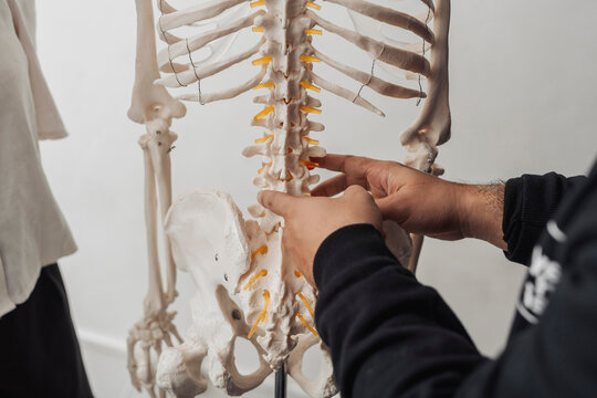 Healthcare practitioner indicates lumbar vertebrae and spinal nerves on a skeleton model to explain back pain and treatment options.