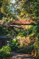 Obraz premium Japanese Garden at Monte Palace Tropical Garden in Funchal, Madeira