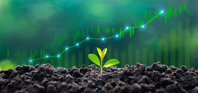 A small green tree sprouts from fertile soil against a backdrop of green bar graphs representing rising financial performance and glowing green growth lines. This imagery symbolizes sustainable financ