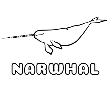 narwhal animal alfabeth