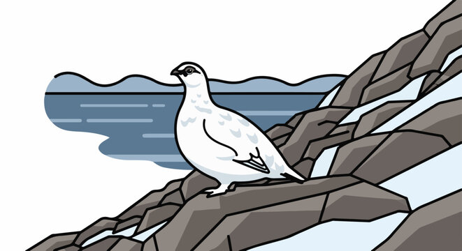 White bird on rocky slope with water and snow background