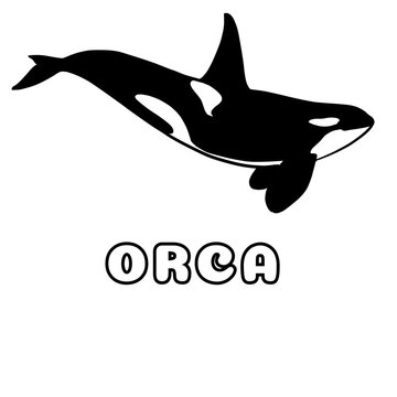silhouette of a orca
