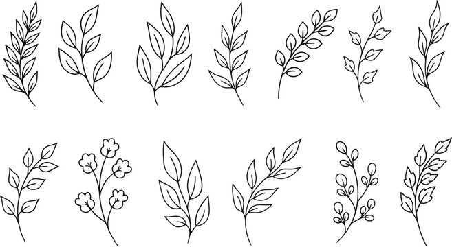 Black and white leaf and flower line art illustrations on white background