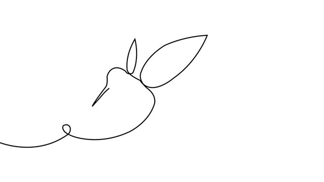 Continuous one line drawing animation of a hummingbird flying on a white background, minimalist art, nature, fluid motion, creative design, or decoration