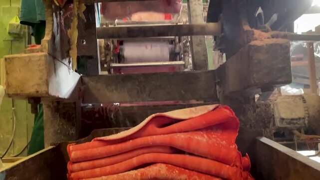 Red Noodle Dough Sheet Coming Out of Traditional Press Machine in Mie Habang Workshop South Kalimantan Indonesia