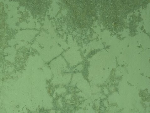 Close-up of a weathered green painted wall featuring subtle stains and distressed textures, ideal for abstract backgrounds, design projects, and graphic overlays.
