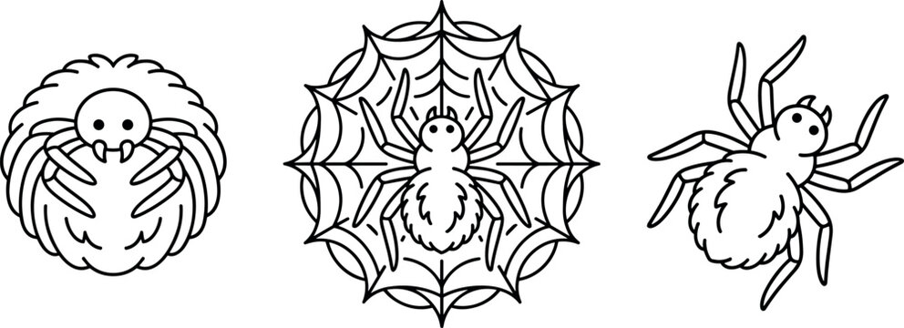 Minimalist Spider Life Cycle Line Art Icon Set Featuring Egg Sac, Cobweb Nest, and Adult Tarantula for Educational Biology Graphic Designs