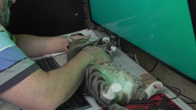 A middle-aged man handles business on dual computer monitors while his pet cat rests completely satisfied and stretched on the desk.