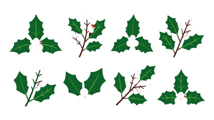 Obraz premium Set of holly leaf and branch decorative vector elements