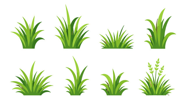 Set of green grass tufts isolated on white background