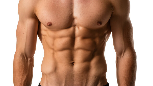 Muscular male torso with defined abdominal muscles and arms