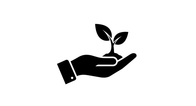Hand holding a small plant seedling growing from soil 1.