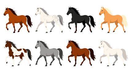Obraz premium Set of eight running horse illustrations in different coat colors