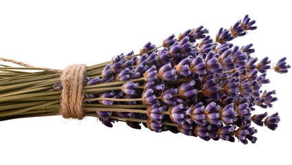 Dried lavender bouquet tied with jute twine © Solene
