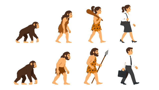 Human evolution sequence from ape to modern people vector set