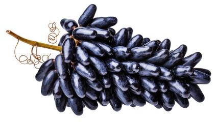 Dark purple moon drop grapes on vine with tendrils © Friedrich