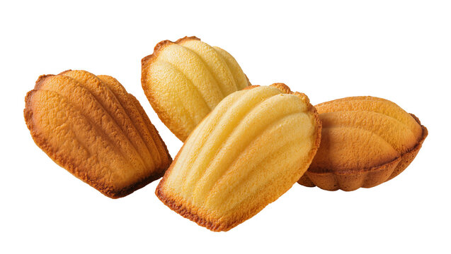 Four golden brown madeleine cookies with shell pattern