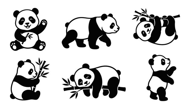Cute Panda Bear Collection Black and White Wildlife Animal Vector Illustration