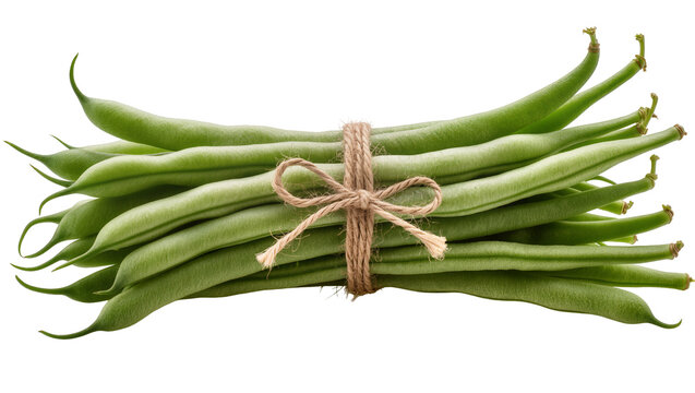 Bundle of fresh green beans tied with twine