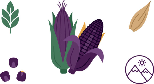 Purple Corn Flat Icon Set Featuring Maize Husk, Isolated Kernels, Green Leaf Sprout, Grain Seed, and Mountain Sun Emblem Vector Graphic Elements