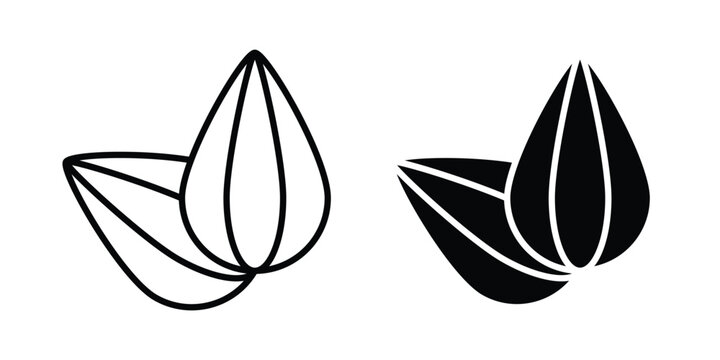 Almond icon
