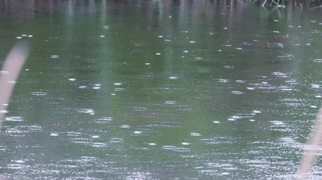 水面に雨が降っている風景