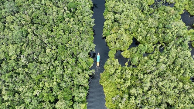 Aerial view of a small boat navigating a narrow river through the dense tropical rainforest of Tanjung Puting National Park in Kumai, Central Kalimantan, Indonesia.