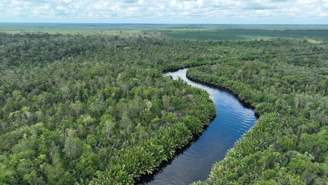 Aerial view of the winding river flowing through the dense tropical rainforest of Tanjung Puting National Park with a lush green canopy Kumai, Central Kalimantan, Indonesia.