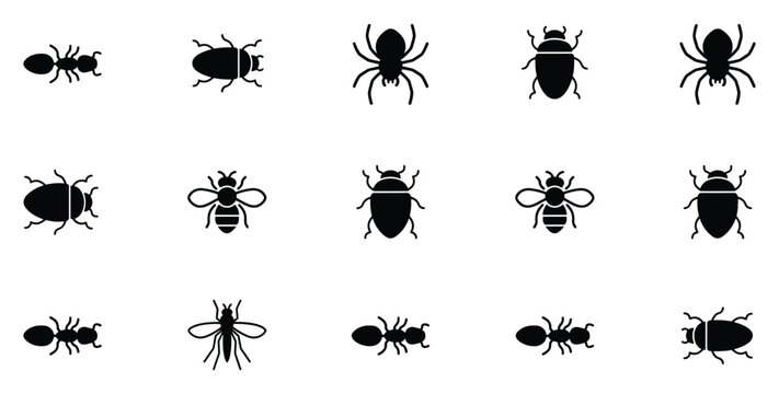 A Symphony of Insects. A meticulously arranged grid showcases a diverse collection of stylized insect icons, featuring ants, beetles, spiders, and bees.