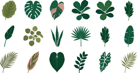 Tropical Botanical Leaf Collection with Exotic Green Foliage Elements Featuring Monstera Palm Philodendron and Decorative Houseplant Icons © Nasima