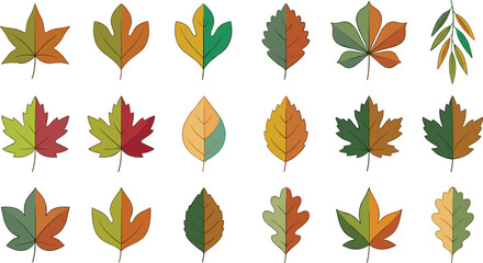 Fototapeta premium Autumn Leaf Collection with Colorful Fall Foliage Icons Featuring Maple Oak and Seasonal Botanical Elements for Nature Design